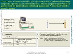 Diapositivo119