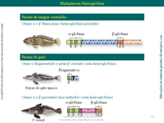 Diapositivo122