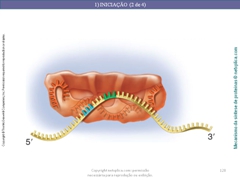 Diapositivo128