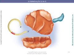 Diapositivo138