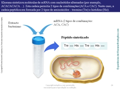 Diapositivo24