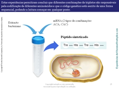 Diapositivo25