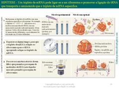 Diapositivo29