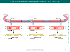 Diapositivo61