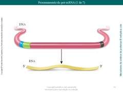 Diapositivo62