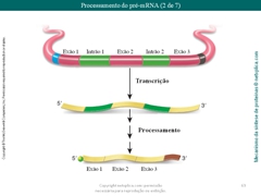 Diapositivo63