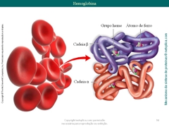 Diapositivo94