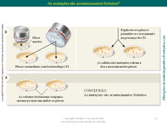 Diapositivo11