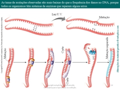 Diapositivo16