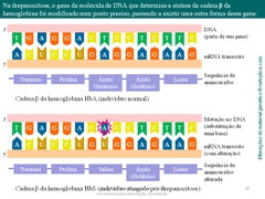 Diapositivo34