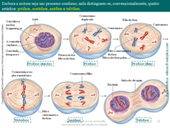 Diapositivo26