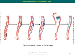 Diapositivo42