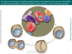 Diapositivo26