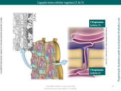 Diapositivo52