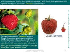 Diapositivo59