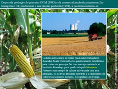 Diapositivo82