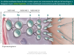 Diapositivo14