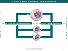 Diapositivo16