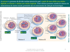 Diapositivo19