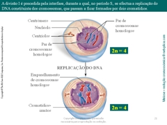 Diapositivo21