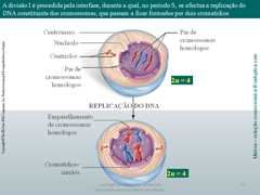 Diapositivo22