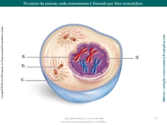 Diapositivo29