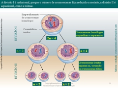 Diapositivo31