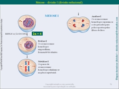 Diapositivo51