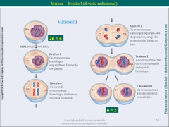 Diapositivo53