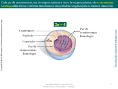 Diapositivo9