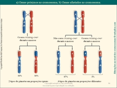 Diapositivo94