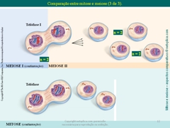 Diapositivo12