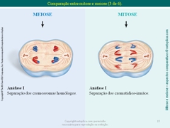 Diapositivo15