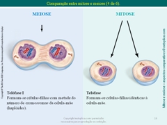 Diapositivo16