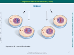 Diapositivo17