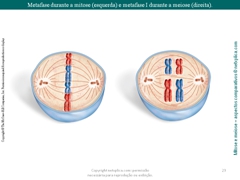 Diapositivo23