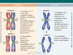 Diapositivo27