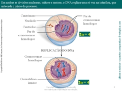 Diapositivo8