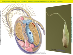 Diapositivo14