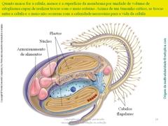 Diapositivo18