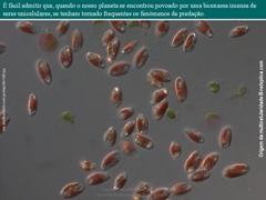 Diapositivo9