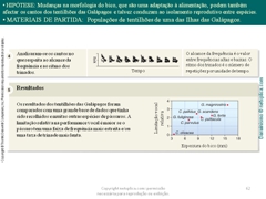 Diapositivo62