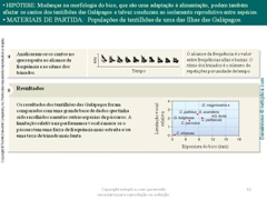 Diapositivo62