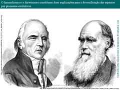 Diapositivo5