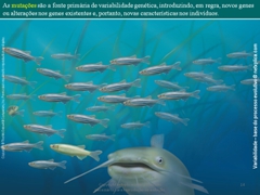 Diapositivo14
