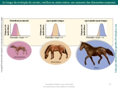 Diapositivo56