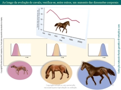 Diapositivo57