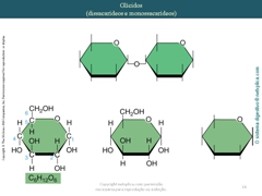 Diapositivo16