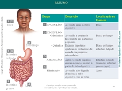 Diapositivo40