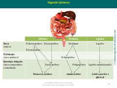 Diapositivo46